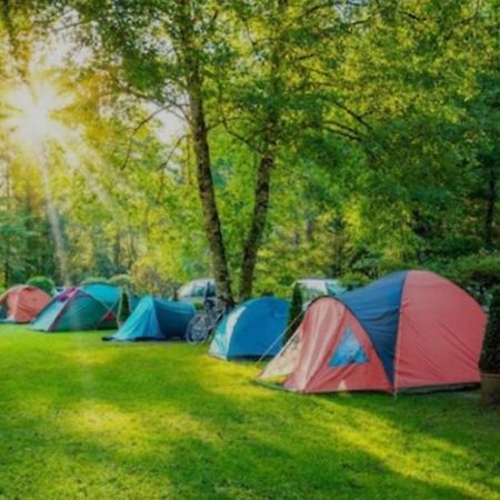 Hotel Camping & Biofarm Gjegji Lezhë Exterior foto